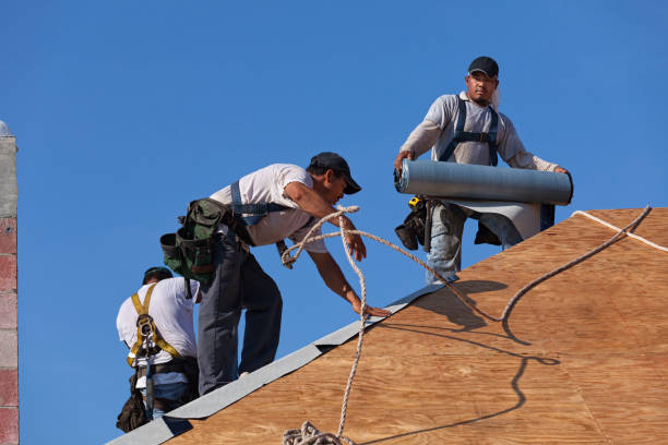 Best Flat Roof Repair Services  in Hampton, TN