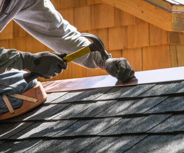 Best Roof Gutter Cleaning  in Hampton, TN